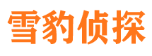 嘉陵侦探公司